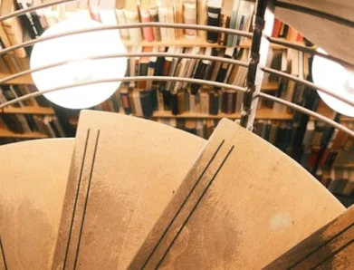 How to Read Academic Literature Effectively